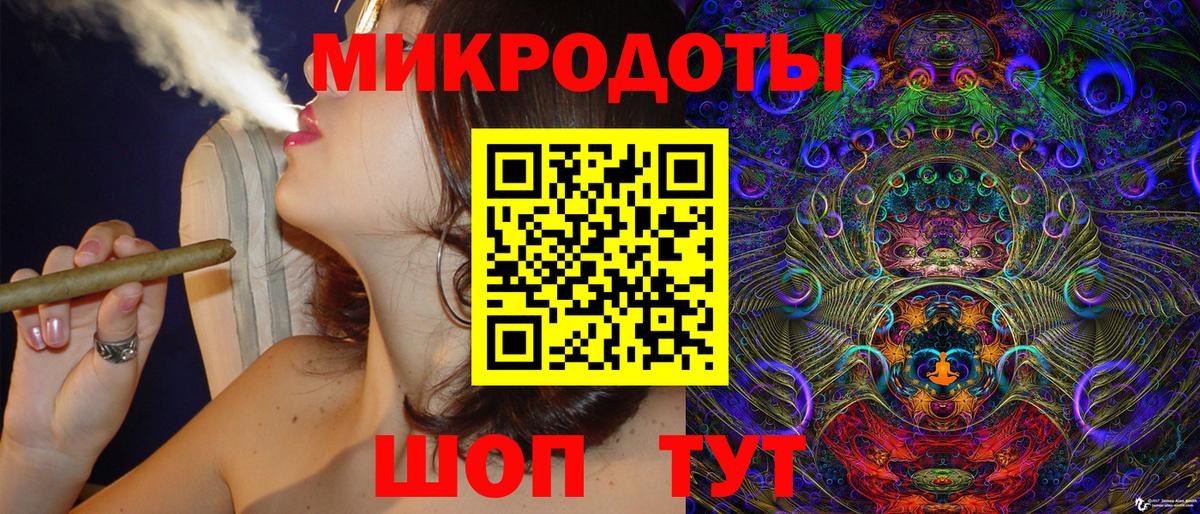закладка  Вход с VPN  Новозыбков  Галлюциногенные грибы GOLDEN TEACHER 